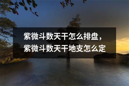 紫微斗数天干怎么排盘，紫微斗数天干地支怎么定