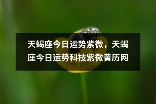 天蝎座今日运势紫微，天蝎座今日运势科技紫微黄历网