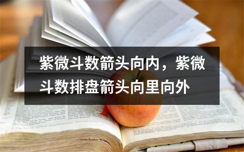 紫微斗数箭头向内，紫微斗数排盘箭头向里向外