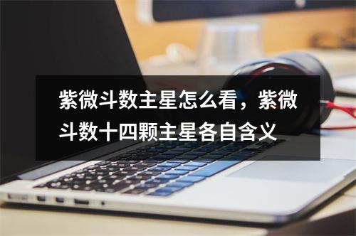 紫微斗数主星怎么看，紫微斗数十四颗主星各自含义