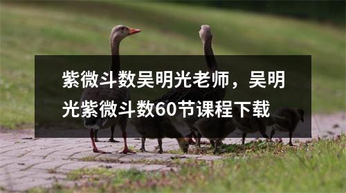 紫微斗数吴明光老师，吴明光紫微斗数60节课程