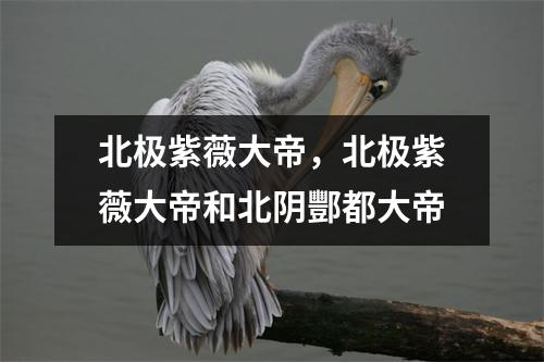 北极紫薇大帝，北极紫薇大帝和北阴酆都大帝