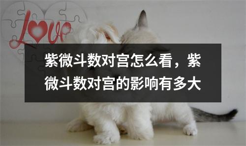 紫微斗数对宫怎么看，紫微斗数对宫的影响有多大