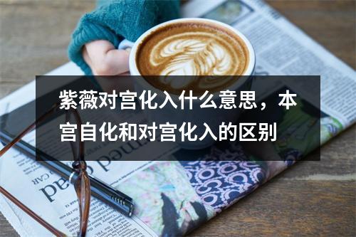 紫薇对宫化入什么意思，本宫自化和对宫化入的区别