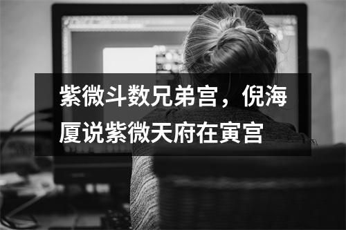 紫微斗数兄弟宫，倪海厦说紫微天府在寅宫