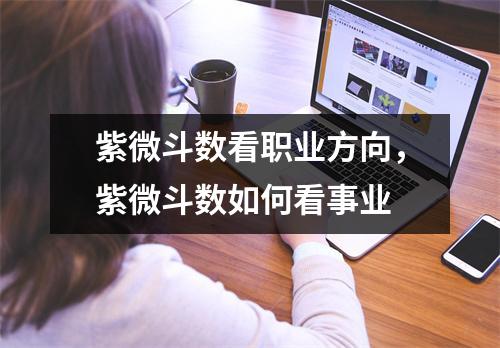 紫微斗数看职业方向，紫微斗数如何看事业