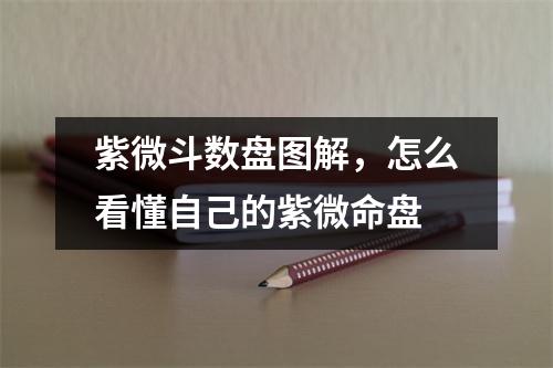 紫微斗数盘图解，怎么看懂自己的紫微命盘