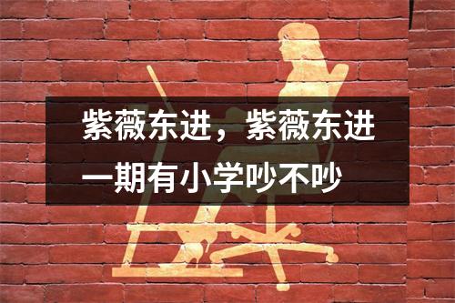 紫薇东进，紫薇东进一期有小学吵不吵