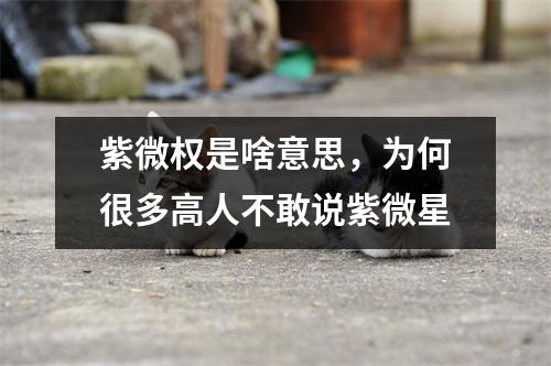 紫微权是啥意思，为何很多高人不敢说紫微星