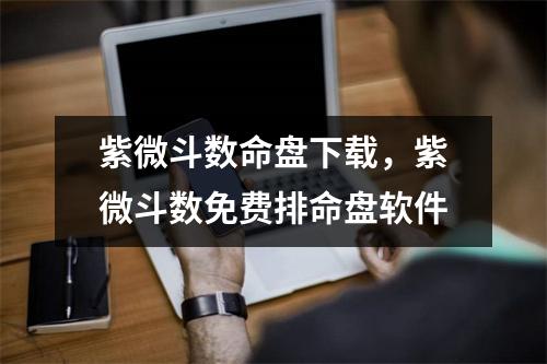 紫微斗数命盘，紫微斗数免费排命盘软件