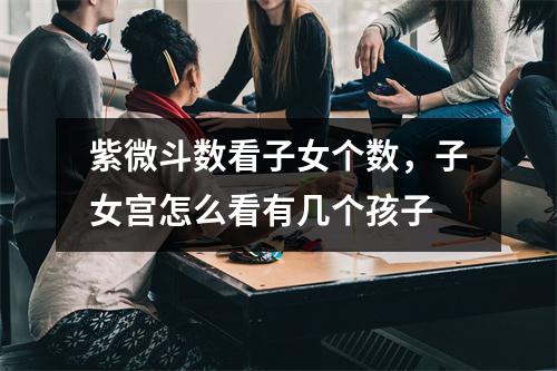 紫微斗数看子女个数，子女宫怎么看有几个孩子