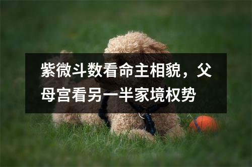 紫微斗数看命主相貌，父母宫看另一半家境权势