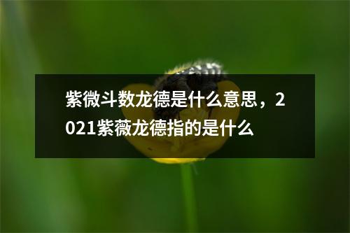 紫微斗数龙德是什么意思，2021紫薇龙德指的是什么