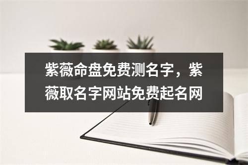 紫薇命盘免费测名字，紫薇取名字网站免费起名网
