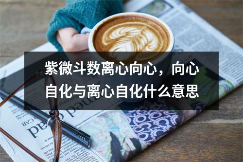 紫微斗数离心向心，向心自化与离心自化什么意思