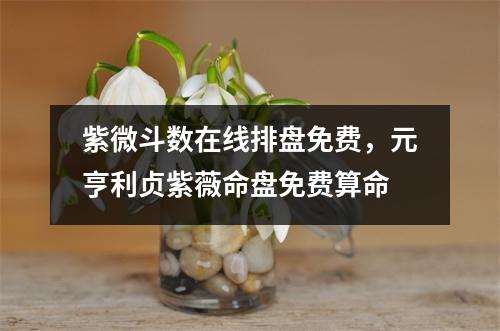 紫微斗数在线排盘免费，元亨利贞紫薇命盘免费算命
