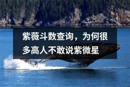 紫薇斗数查询，为何很多高人不敢说紫微星