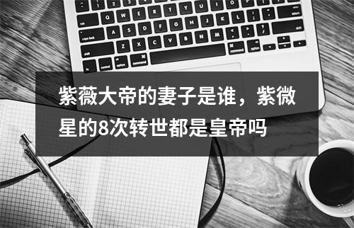 紫薇大帝的妻子是谁，紫微星的8次转世都是皇帝吗