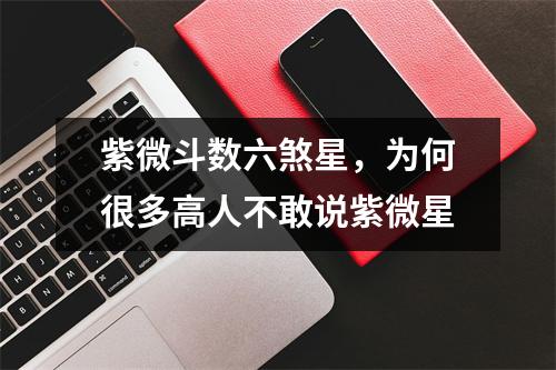紫微斗数六煞星，为何很多高人不敢说紫微星