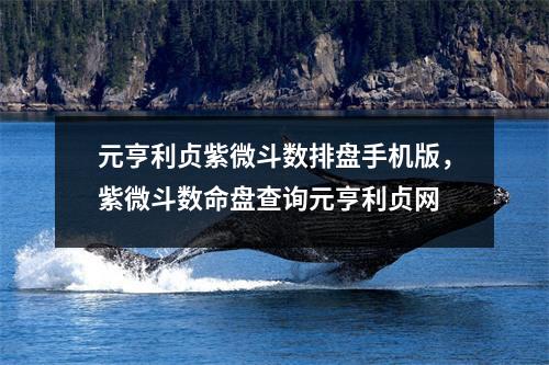 元亨利贞紫微斗数排盘手机版，紫微斗数命盘查询元亨利贞网