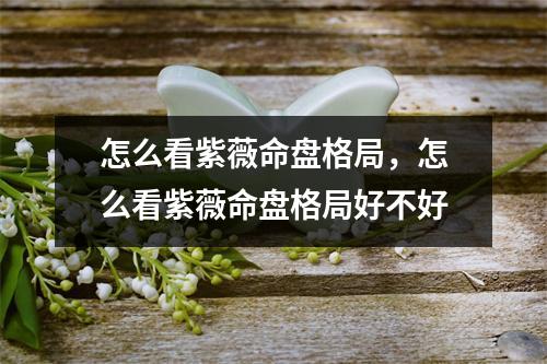 怎么看紫薇命盘格局，怎么看紫薇命盘格局好不好