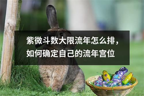 紫微斗数大限流年怎么排，如何确定自己的流年宫位