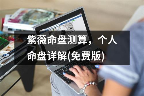 紫薇命盘测算，个人命盘详解(免费版)