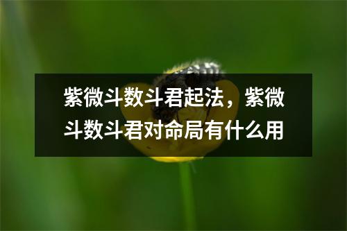 紫微斗数斗君起法，紫微斗数斗君对命局有什么用
