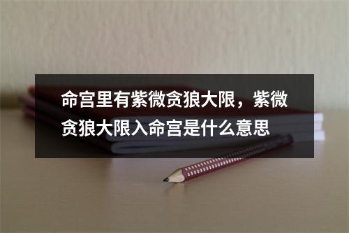 命宫里有紫微贪狼大限，紫微贪狼大限入命宫是什么意思