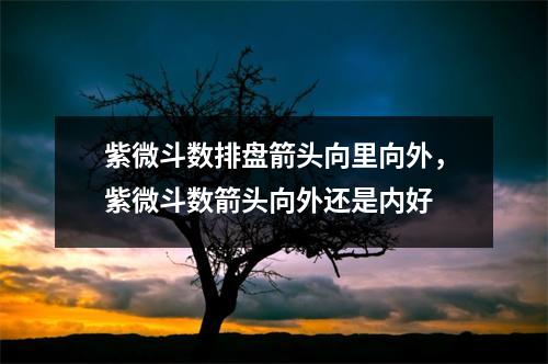 紫微斗数排盘箭头向里向外，紫微斗数箭头向外还是内好