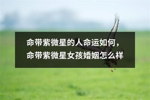 命带紫微星的人命运如何，命带紫微星女孩婚姻怎么样