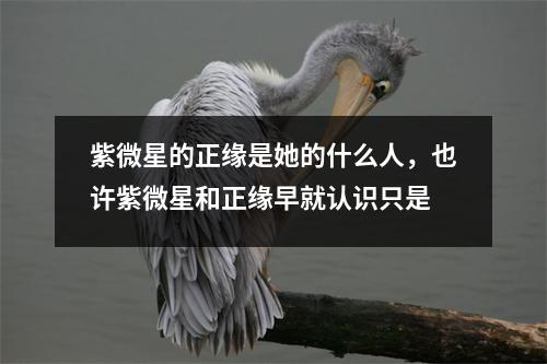 紫微星的正缘是她的什么人，也许紫微星和正缘早就认识只是