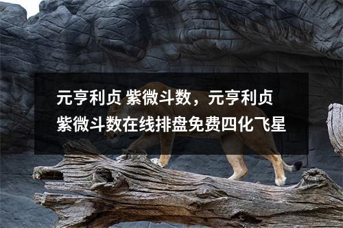 元亨利贞 紫微斗数，元亨利贞紫微斗数在线排盘免费四化飞星