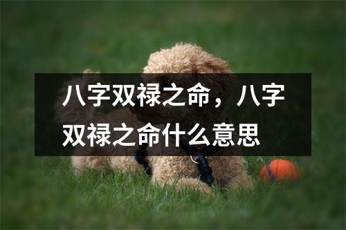 八字双禄之命，八字双禄之命什么意思