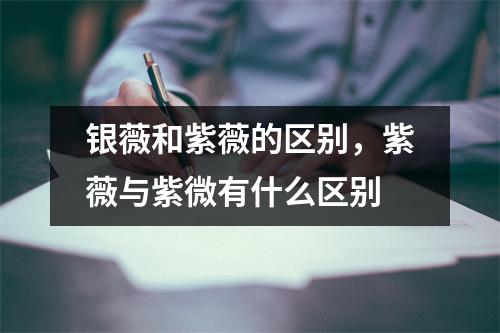 银薇和紫薇的区别，紫薇与紫微有什么区别