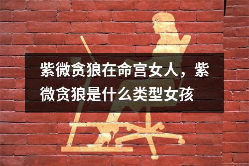紫微贪狼在命宫女人，紫微贪狼是什么类型女孩