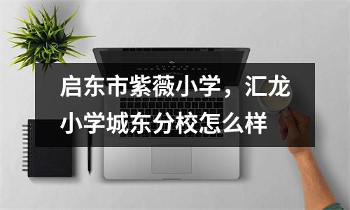 启东市紫薇小学，汇龙小学城东分校怎么样