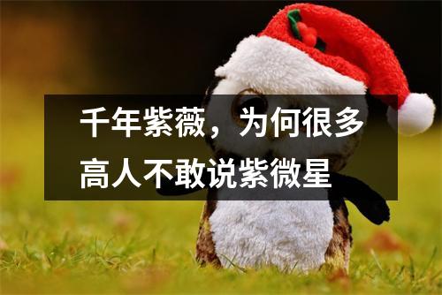 千年紫薇，为何很多高人不敢说紫微星