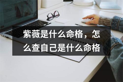 紫薇是什么命格，怎么查自己是什么命格