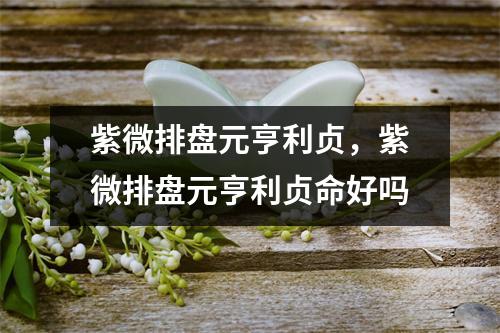 紫微排盘元亨利贞，紫微排盘元亨利贞命好吗