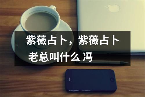 紫薇占卜，紫薇占卜 老总叫什么 冯