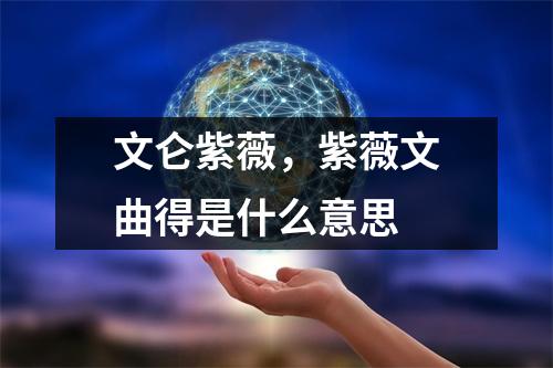 文仑紫薇，紫薇文曲得是什么意思