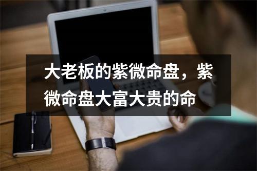 大老板的紫微命盘，紫微命盘大富大贵的命