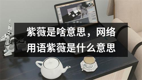紫薇是啥意思，网络用语紫薇是什么意思