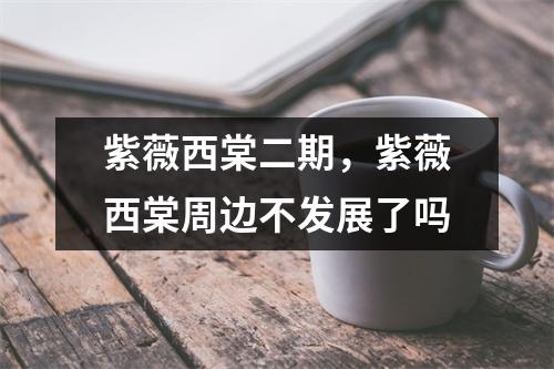 紫薇西棠二期，紫薇西棠周边不发展了吗