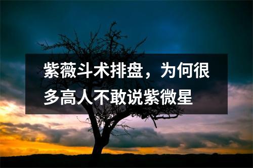 紫薇斗术排盘，为何很多高人不敢说紫微星