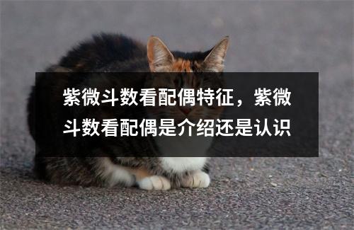 紫微斗数看配偶特征，紫微斗数看配偶是介绍还是认识