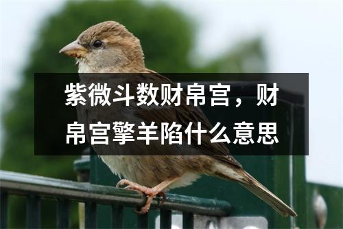 紫微斗数财帛宫，财帛宫擎羊陷什么意思