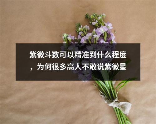 紫微斗数可以精准到什么程度，为何很多高人不敢说紫微星