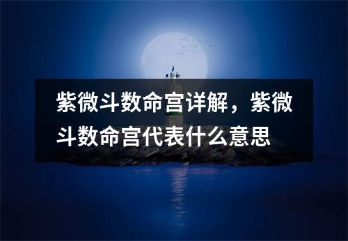 紫微斗数命宫详解，紫微斗数命宫代表什么意思